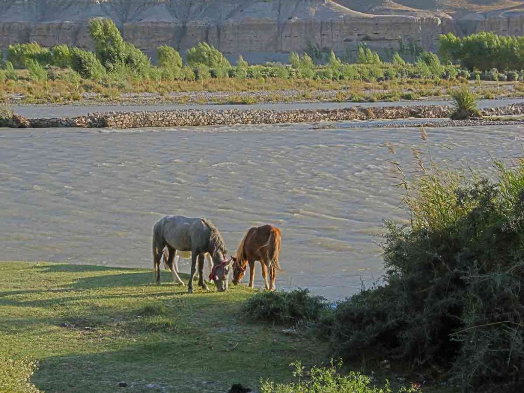 Ponies-indus-riverside