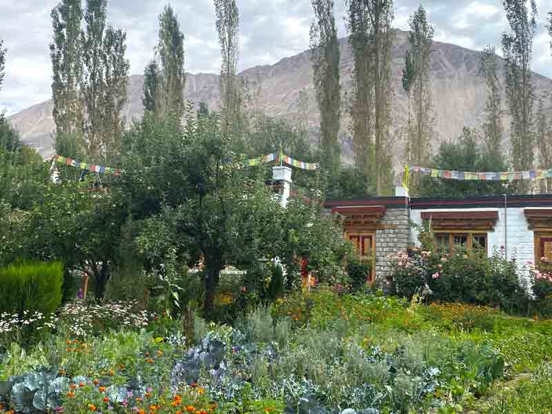 Homestay garden view